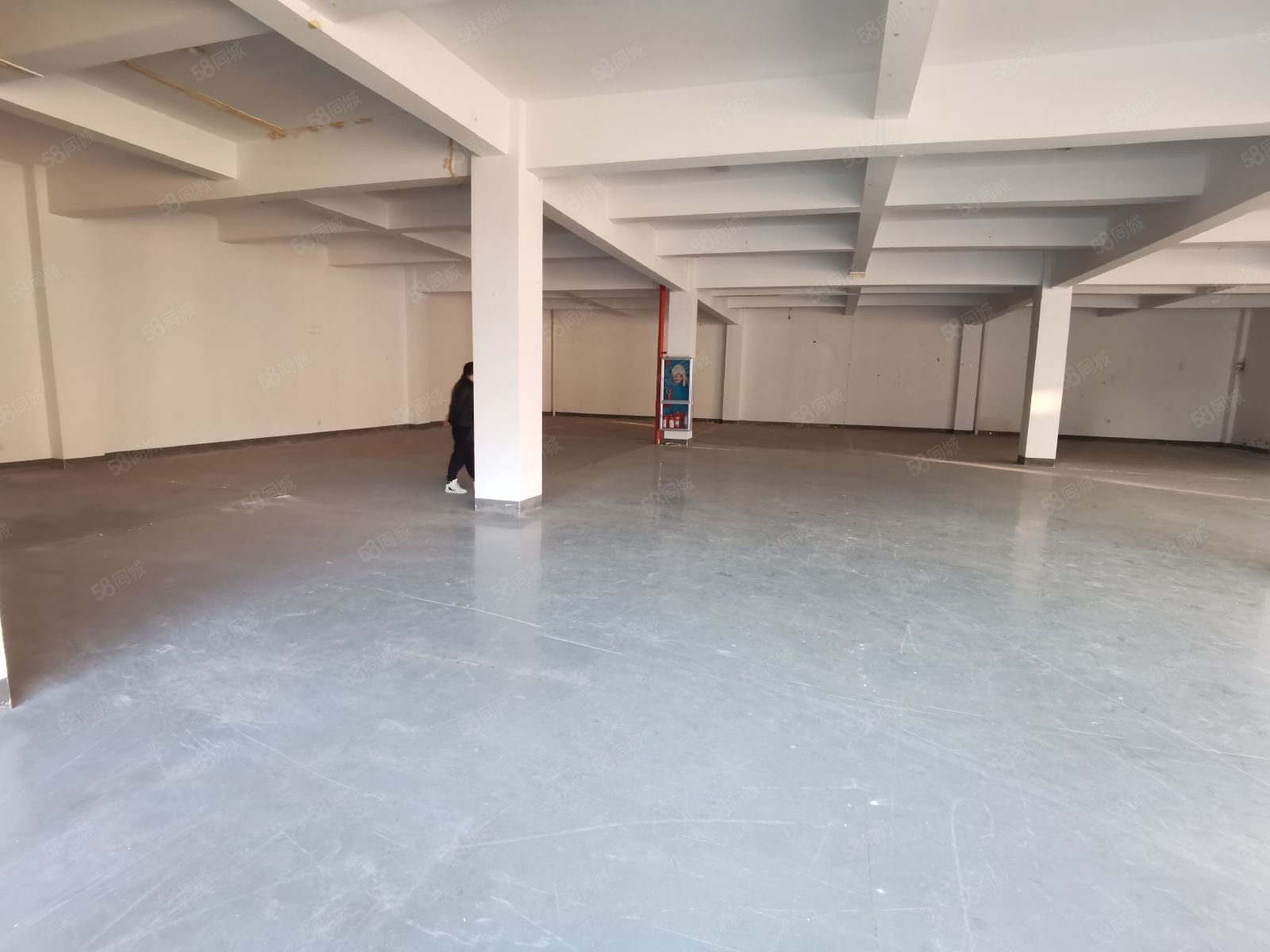 广东旧仪器仪表资产处置信息_旧钢构信息_苏州市旧木材出售信息