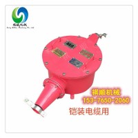 BHG1-200矿用防爆接线盒铠装喇叭口