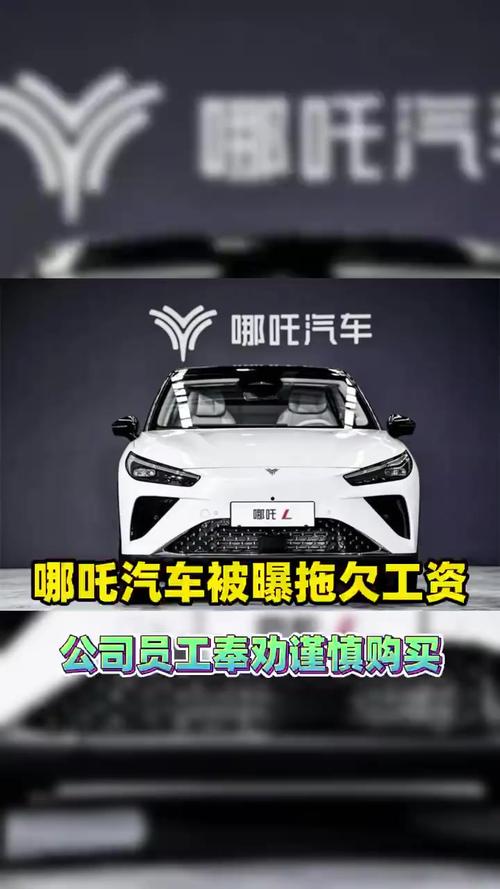 _坠崖重生的小说_掉山崖重生的小说