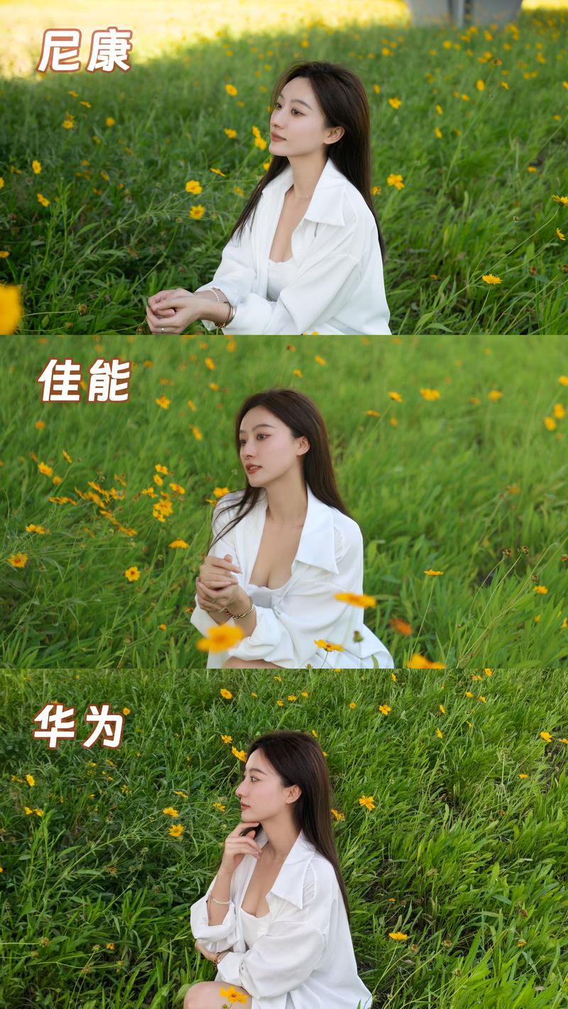 _尼康相机怎么样知乎_试探尼康相机