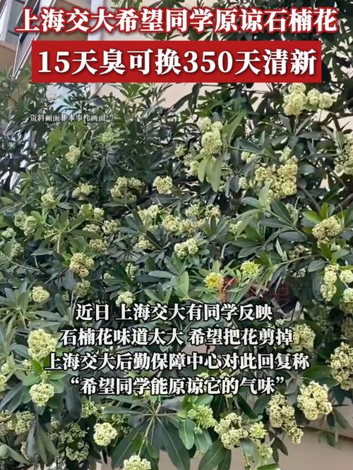 交大花店事件_上海交大校花是什么花_