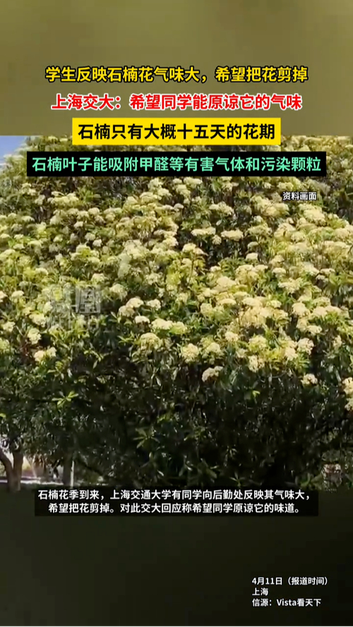 _交大花店事件_上海交大校花是什么花