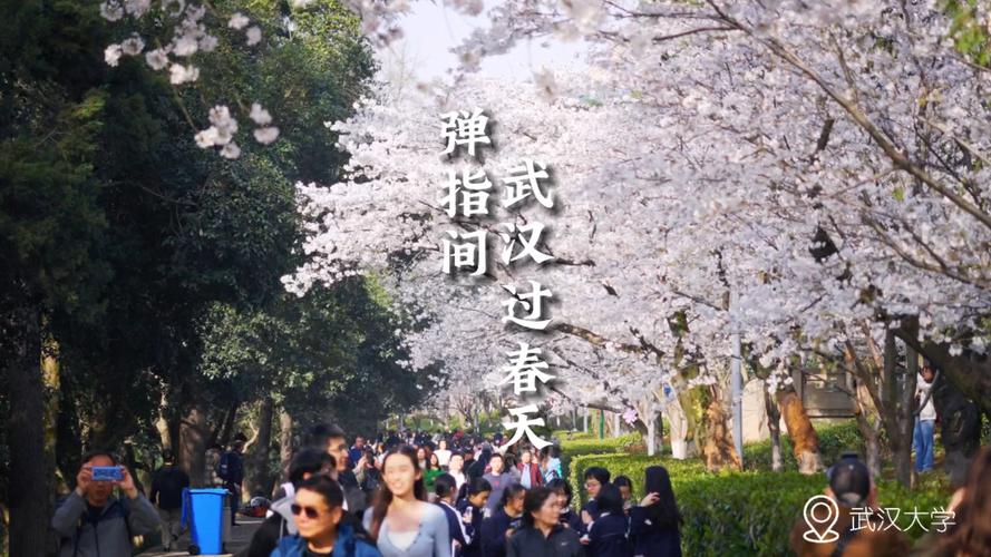 钢铁侠的炮弹_钢铁侠送炮弹是哪一集_钢铁侠炮弹发射器怎样制作
