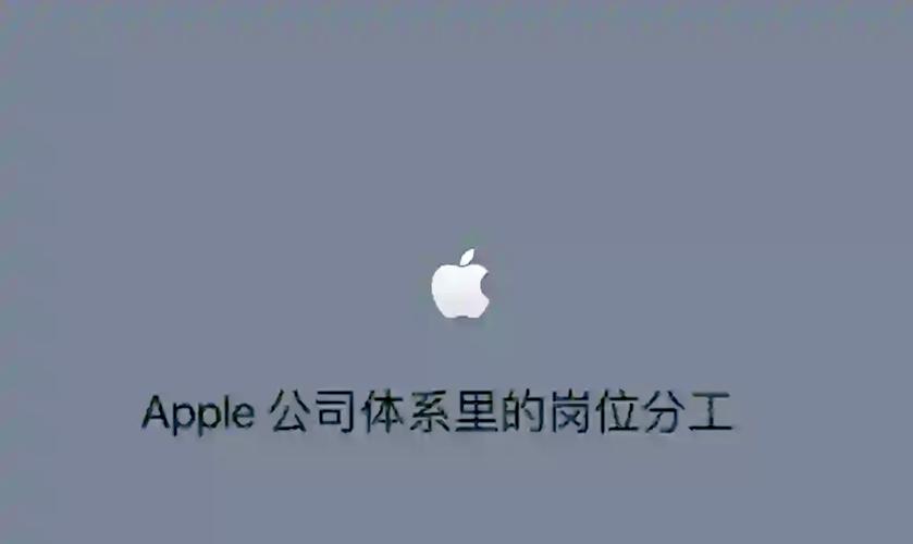 _部门推进放管服工作总体情况_公司人事职务变动通知