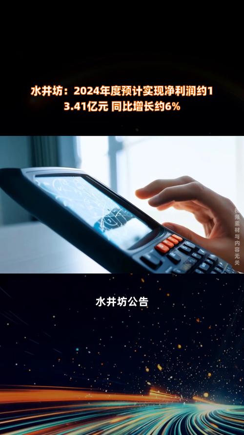 水井坊年营业额_水井坊盈利能力分析_
