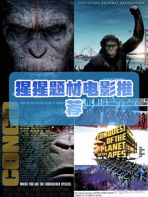 钢铁侠养的大猩猩_钢铁侠猩猩电影_哪一部钢铁侠有猩猩