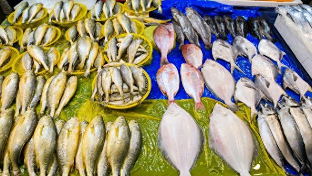 冻品海鲜保温箱多久__冻品海鲜保质期是多久