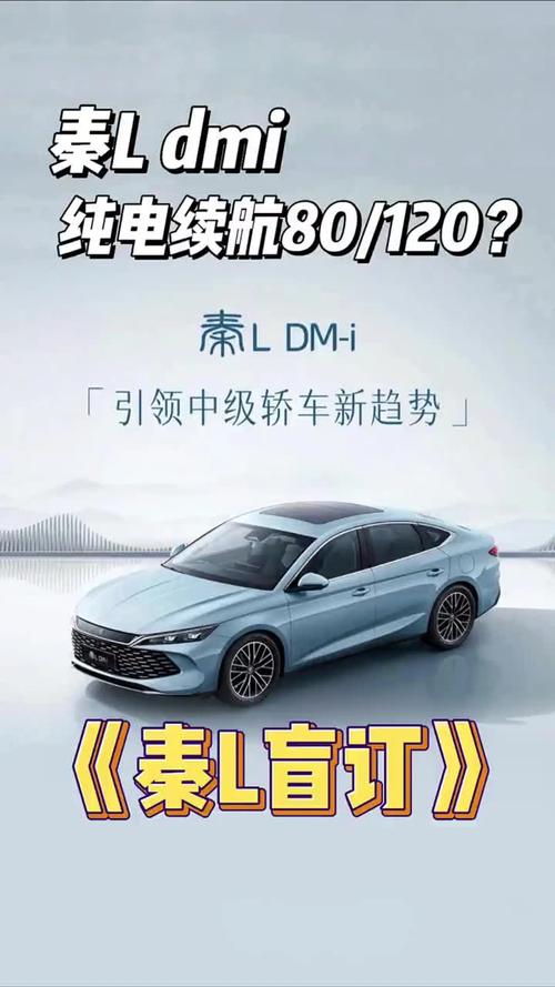 _比亚迪新能源汽车置换补贴_比亚迪换购补贴