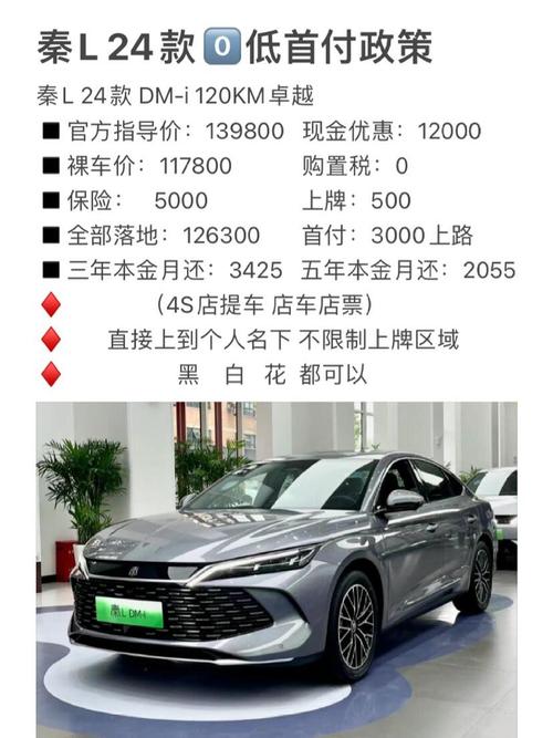 _比亚迪新能源汽车置换补贴_比亚迪换购补贴