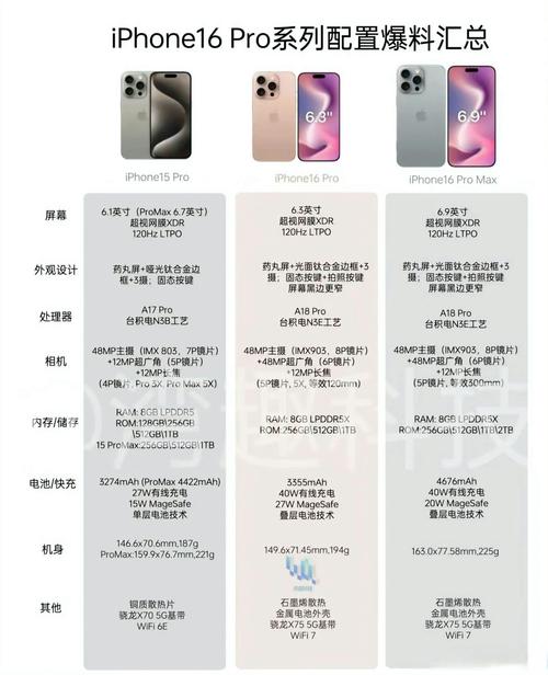 《跳水》类文阅读__跳水文本解读