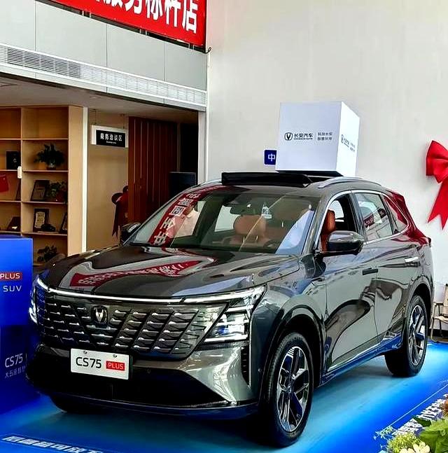 工资族花10万买SUV，结果却成“受罪V”让人无奈-有驾
