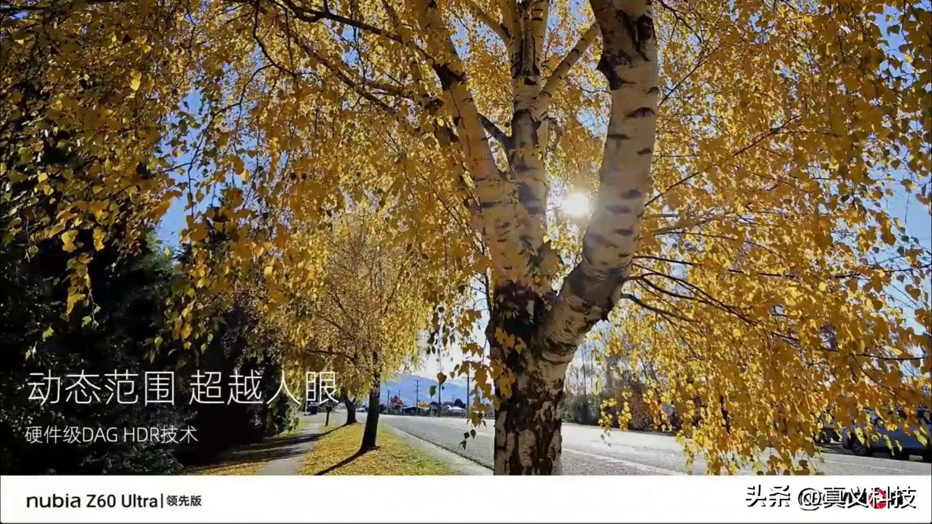 索尼手机相机传感器尺寸排行榜__索尼手机相机传感器型号大全