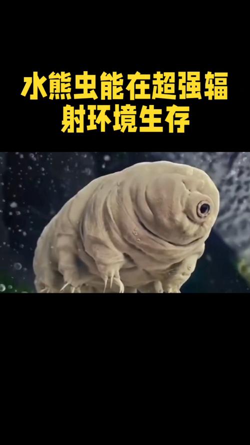 吓人的婴儿皮肤病_道卫汽车装潢_