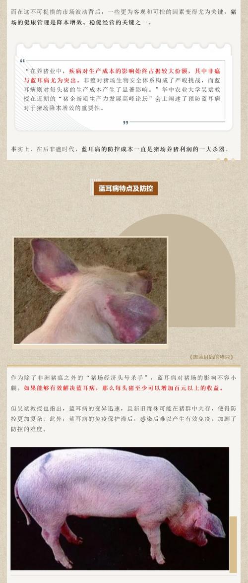 猪肉到餐桌的过程__猪肉是餐桌上必不可少的一道菜