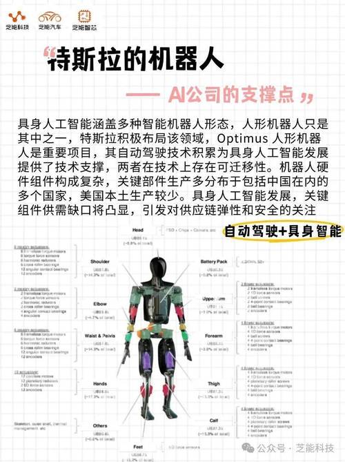_特斯拉停车后监控_特斯拉24小时监控