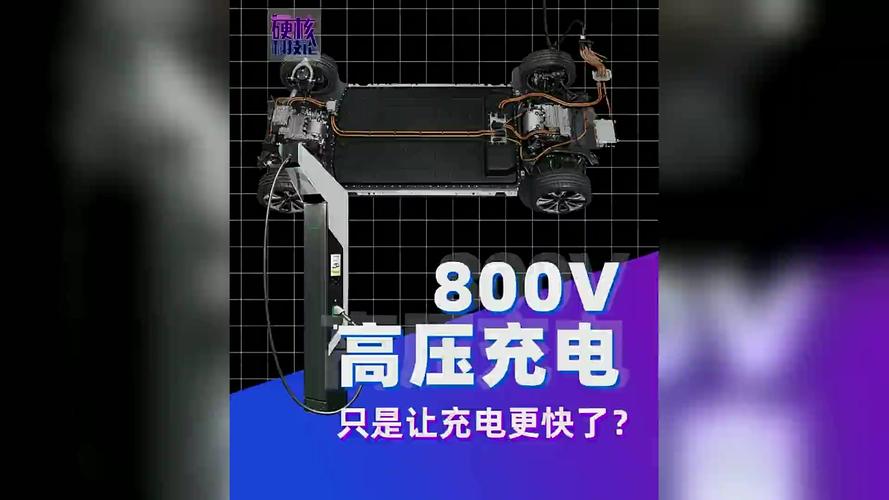 _特斯拉国产区别_特斯拉国产质量怎么样
