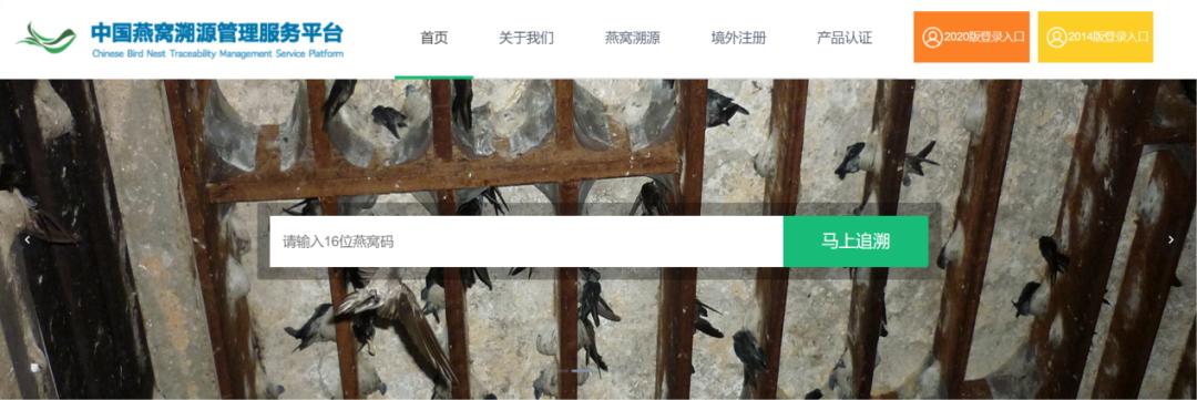 燕窝故事价格查询_燕窝的故事_