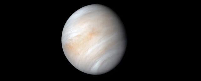 _金星被小行星撞击_金星行星