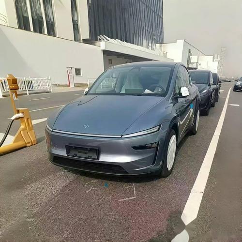 动态图片出去溜达__没结婚证车主是我车我能要回吗