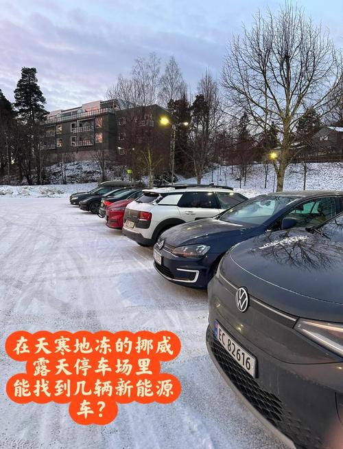 挪威电动汽车_挪威电动车销量全球领先_