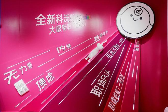 _科沃斯地宝550老款_科沃斯地宝好用吗