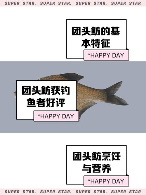 _杂交育种属于基因重组吗_杂交育种属于染色体变异吗