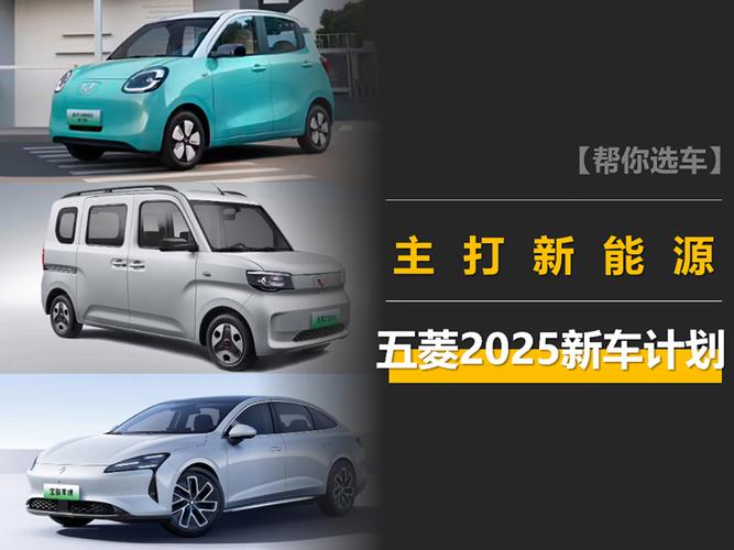 能源车那个好_能源车哪个性价比高_
