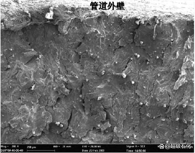 仪表引压管材质选择_高压加氢装置仪表引压管_321不锈钢无缝管