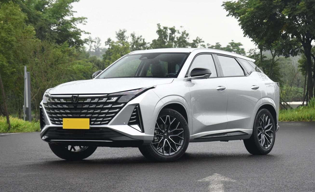 长安高颜值suv_长安很火的车_