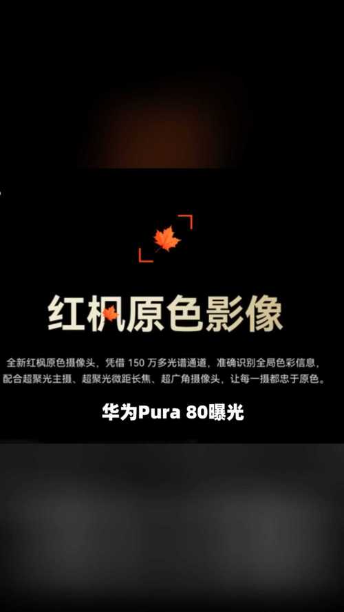 _华为系列手机介绍_华为影像技术