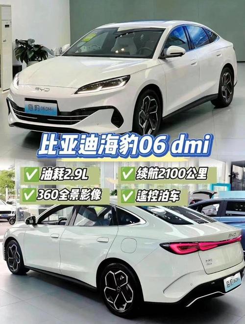 疯狂比亚迪醉驾司机被执行死刑_比亚迪海豹值得等吗_