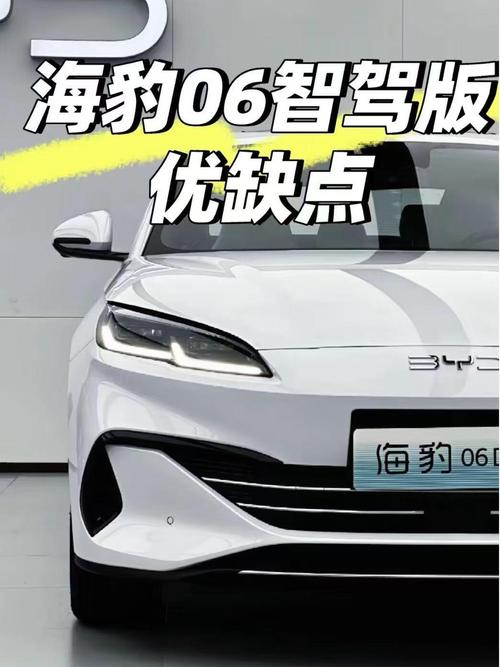 疯狂比亚迪醉驾司机被执行死刑__比亚迪海豹值得等吗